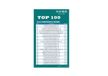 2024中國環(huán)境咨詢公司百強榜榜首